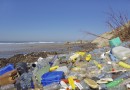 Plastiktüten - die EU verspricht eine Reduzierung