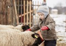 Urlaub auf dem Bauernhof – Spaß für die ganze Familie