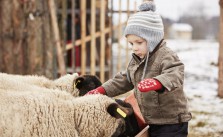 Urlaub auf dem Bauernhof – Spaß für die ganze Familie