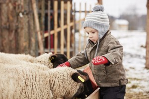 Urlaub auf dem Bauernhof – Spaß für die ganze Familie